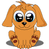 Cute puppy