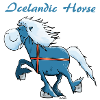 Cheval Islandais Heureux