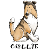 Happy Collie