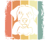 Labrador retro