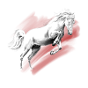 cheval