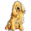 Heureux Cocker Spaniel
