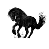 cheval