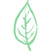 Leaf - nature
