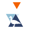 Duck Ducks