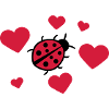 Little cute sweet ladybug