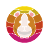 Meerschweinchen