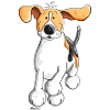 Drôle Beagle Courir