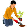 Gardening, Gardening, Plants