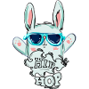 Hip Hop