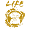 Labrador