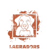 Labrador