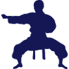 combat karate icone 17 2