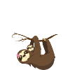 Baby Sloth
