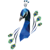blue peacock