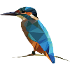 kingfisher
