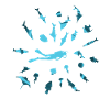 Diving with Fish