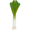 leek