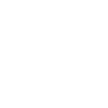 Irish Terrier