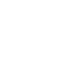 Irish Terrier