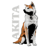Akita