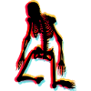Skeleton