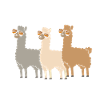 Alpaka Llama