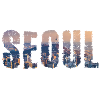 seoul stadt