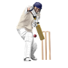 cricket