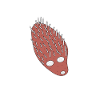 Lieblingstier Mettigel Fleischesser Fleischfresser
