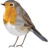robin