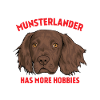 Petit Münsterländer