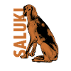 Saluki