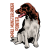 Small Münsterländer