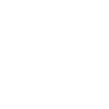 Memento Mori - Skull