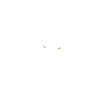Alpha Wolf Wildlife
