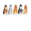 Cadeau drôle d'équitation