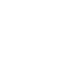 Mouflon sheep head