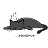 tired cat