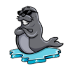 Seal with sunglasses