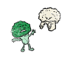 Broccoli cauliflower