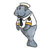 Manatee Captain