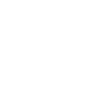 Ant