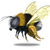 Bumble bee beekeeper conservation gift