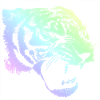 tigre