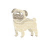 pug