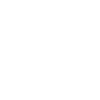 R1200GS white