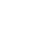Singer