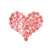 Dogs heart