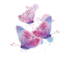 Butterfly transformation